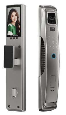 Automatic Smart Lock Face Recognition Intercom with Palm Vein Recognition