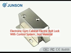 ইলেকট্রনিক জিম ক্যাবিনেট ইলেকট্রিক বোল্ট লক কন্ট্রোল সিস্টেমের সাথে, লোহা উপাদান