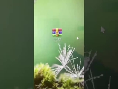 কিভাবে আমাদের হোটেল লক সিস্টেম 9.27C সংস্করণে আপডেট করবেন